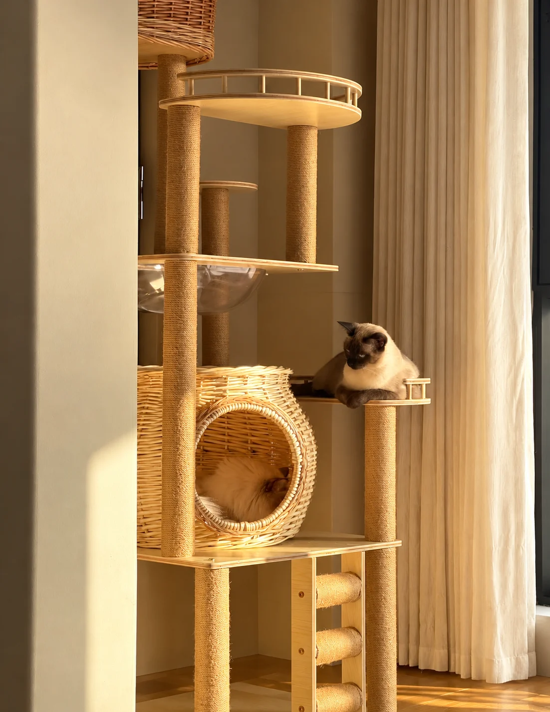 藤編みの猫用ベッドとキャットタワーの参考画像